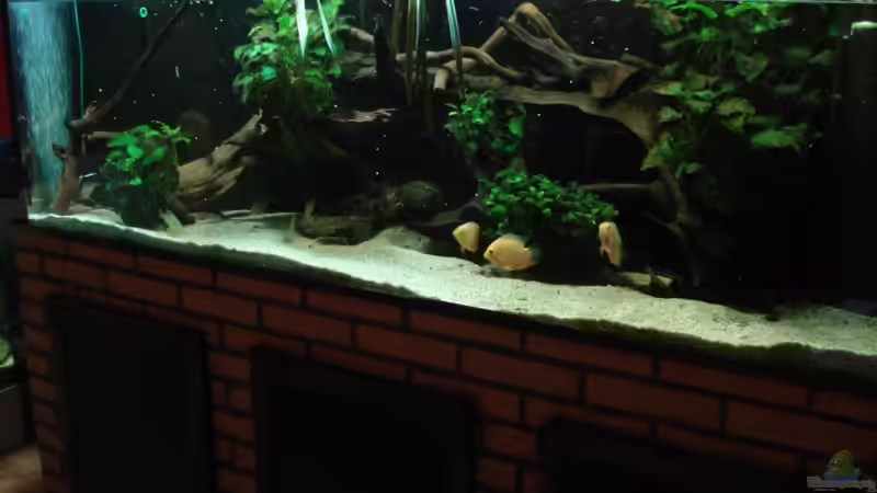 Gesamtansicht von Seifert Daniel (1)