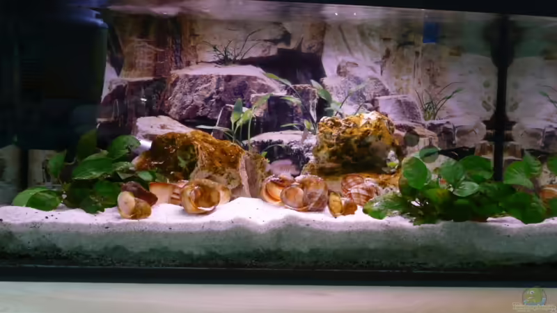 Gesamtansicht von Simone Baumeister (1)