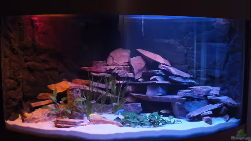 Gesamtansicht von Slay (1)