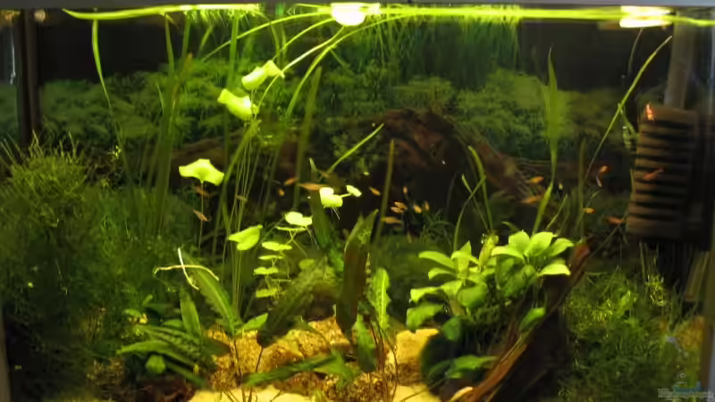 Gesamtansicht von Stefan Zaus (7)