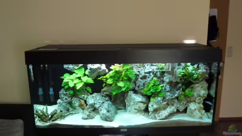 Gesamtansicht von Strohhut. (2)