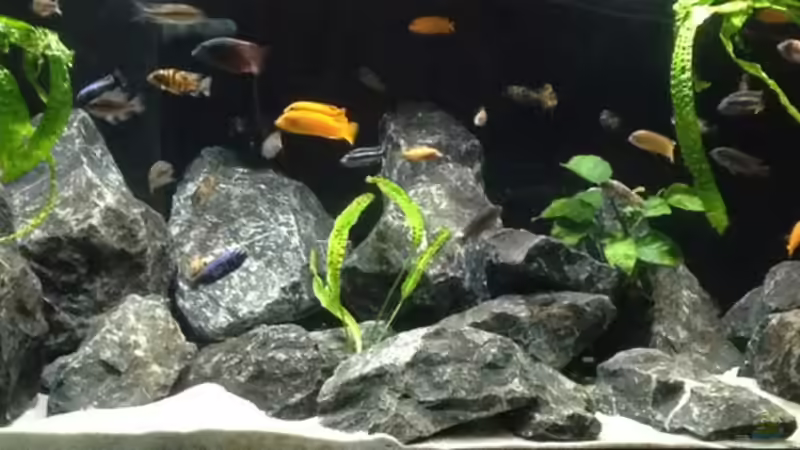 Gesamtansicht von SvenV.90 (5)