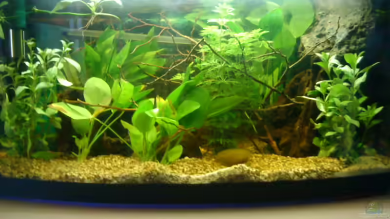 Gesamtansicht von t-time (1)