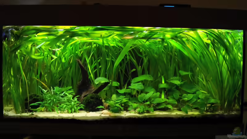 Gesamtansicht von Theresa Horak (1)