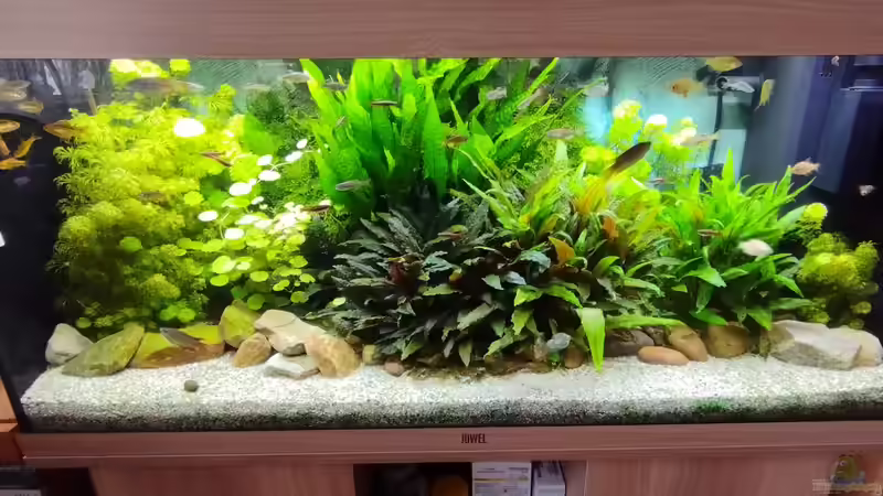 Gesamtansicht von Thomas Kreuter (26)