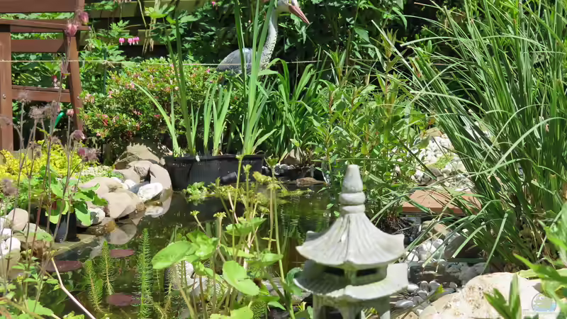 Gesamtansicht von Thomas Limberg (10)