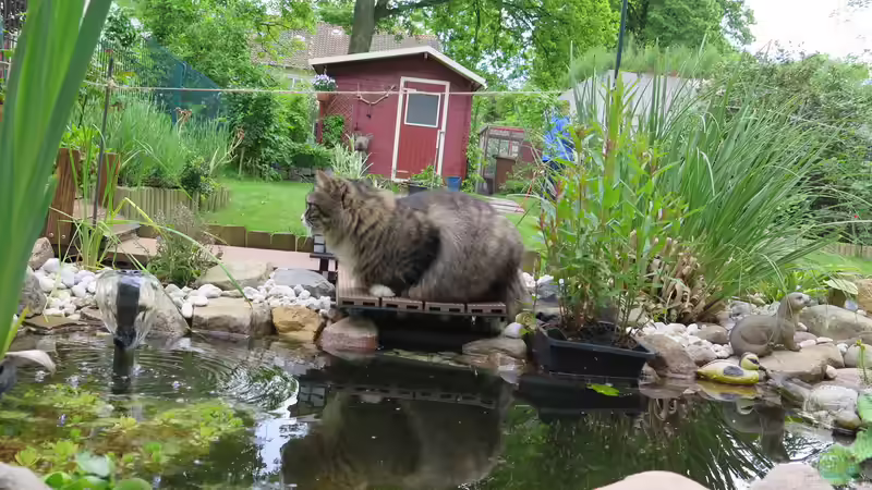 Gesamtansicht von Thomas Limberg (11)