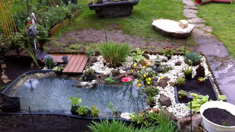 Gesamtansicht von Thomas Limberg (7)