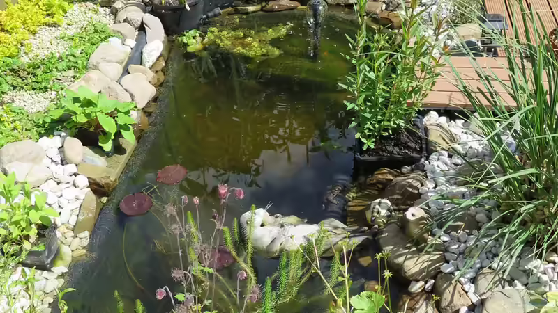 Gesamtansicht von Thomas Limberg (9)