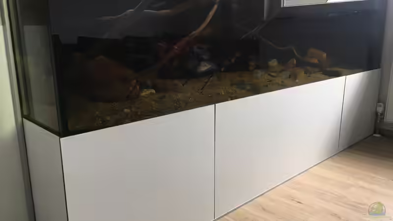 Gesamtansicht von Thomas S-H (14)