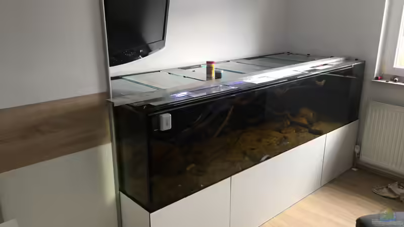 Gesamtansicht von Thomas S-H (15)