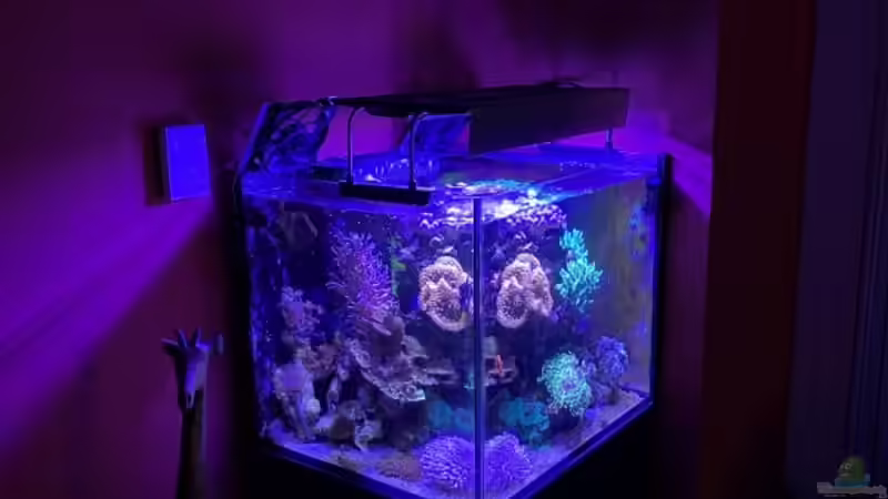 Gesamtansicht von Thomas S-H (4)