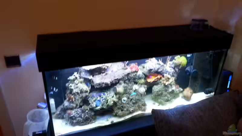 Gesamtansicht von Tim1979 (2)