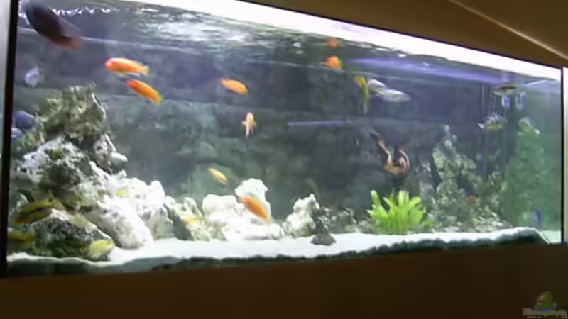 Gesamtansicht von Tobias Mann (1)