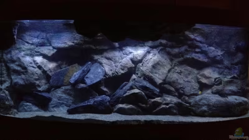 Gesamtansicht von Tobias Sch. (1)