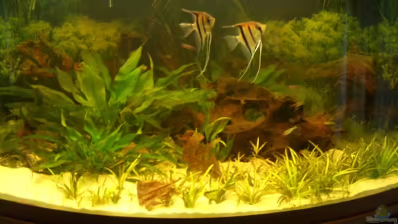 Gesamtansicht von VL (3)