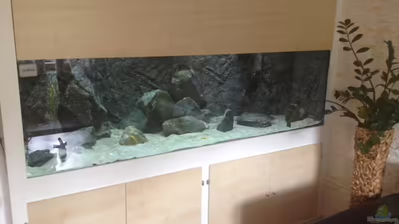 Gesamtansicht von Wimmer Jürgen (2)