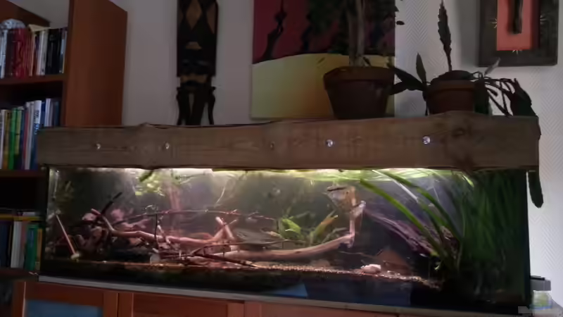 Gesamtansicht von Zomic (3)