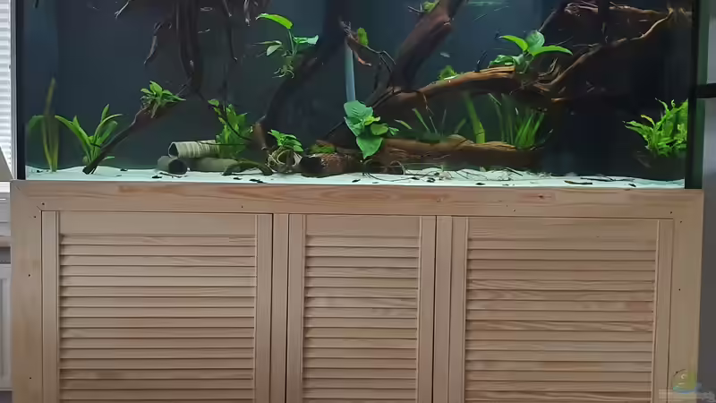 Gesamtansicht vor Diskusbesatz von Steven Tumma (7)