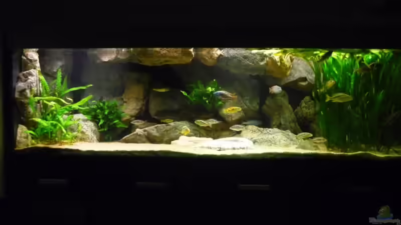 Gesamtansicht vor einem Jahr 10/2009 von Crenii (4)