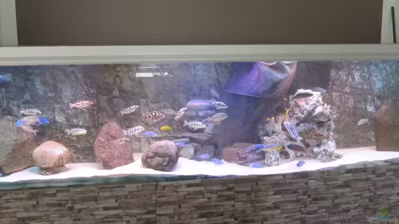 Gesamtansicht vorm umdekorieren von Manfred Meyer (8)