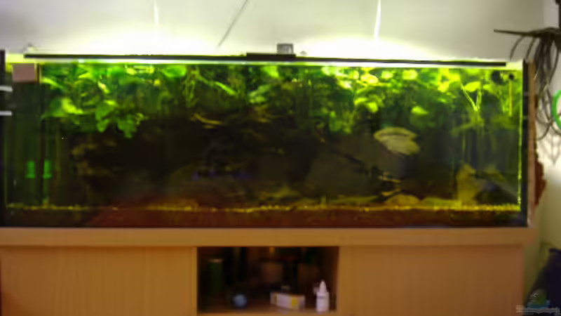 Gesamtansicht Gesamtansicht