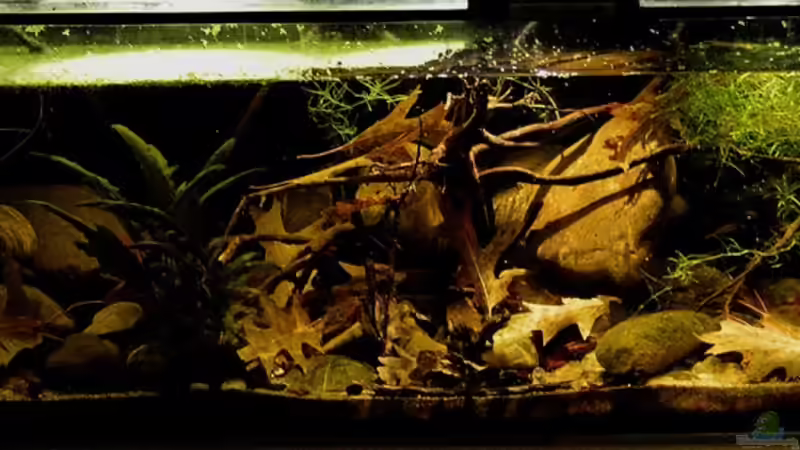 Gesamtansicht2 von David Breuers (3)