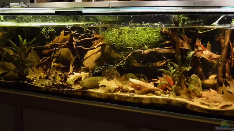 Gesamtansicht3 von David Breuers (4)