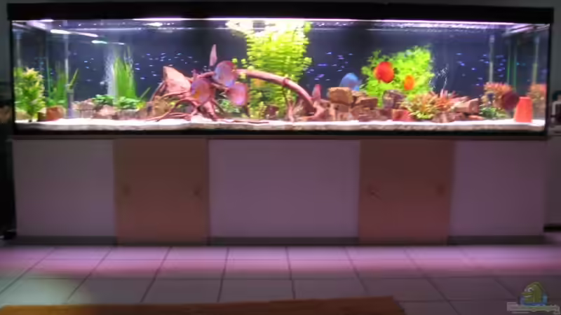 Gesamtaufnahme 31.10.2007 von Eberhard Brammer (1)