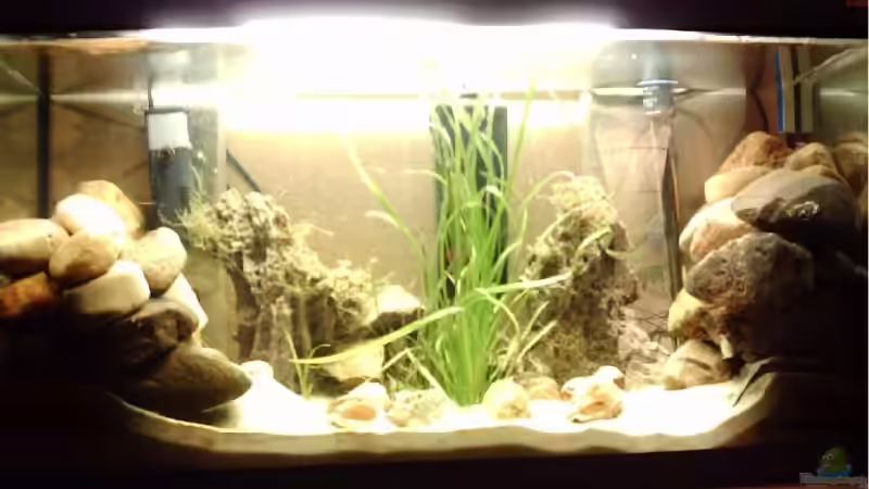 Gesamtbecken von Jörg Rühlemann (1)