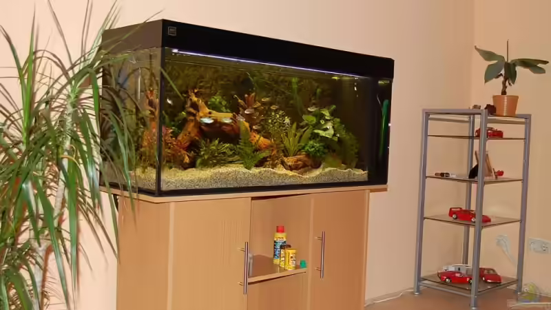 Gesamtbild von Dennis (2)