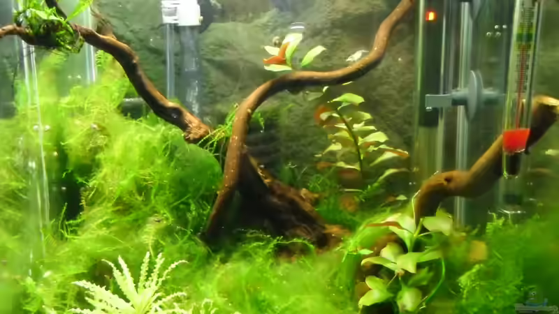 Gesamtbild von Gabi Schmidt (2)