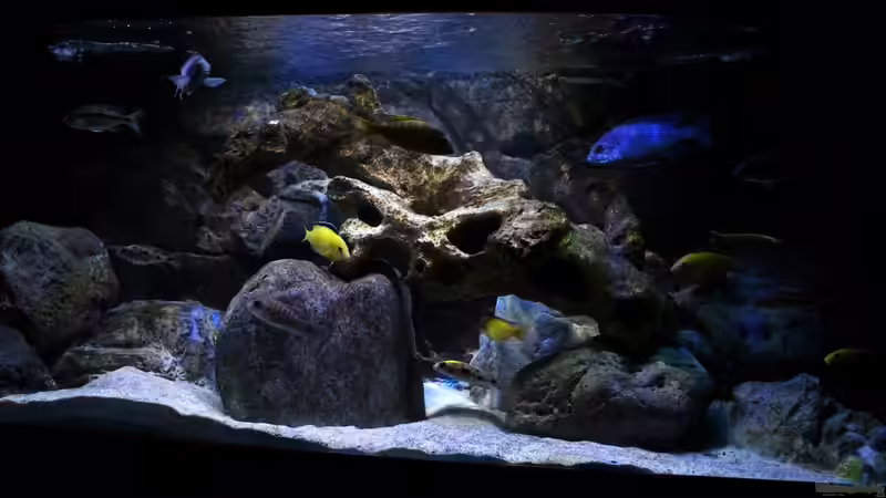 Gesamtbild von Steffen G (7)