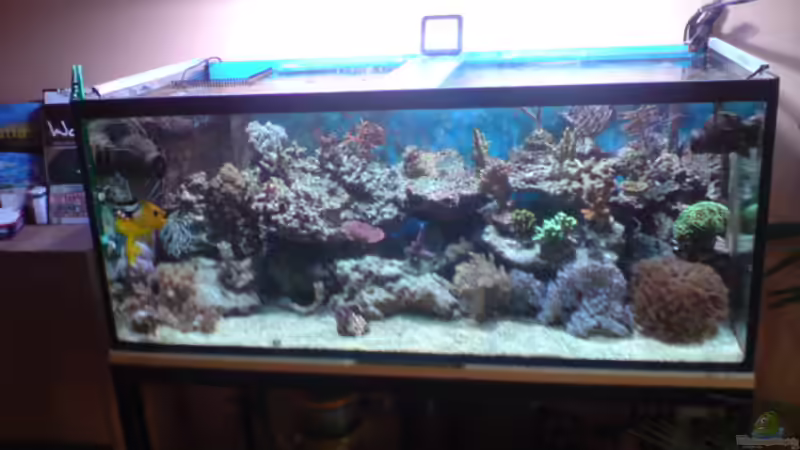 gesamtblick von Daniel Reichl (9)