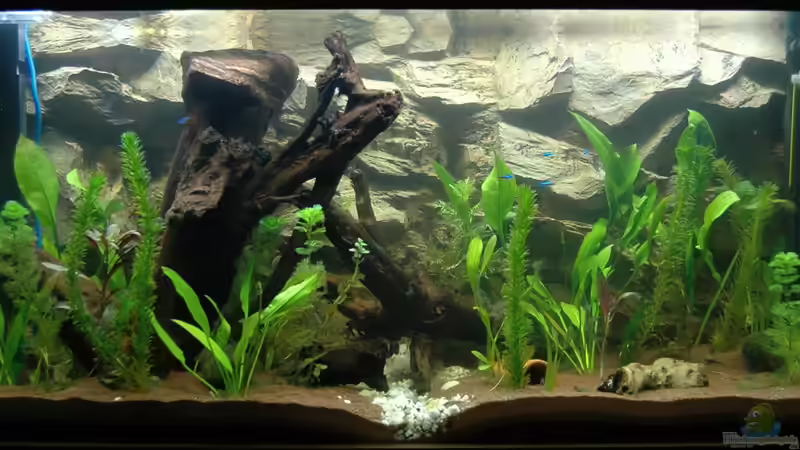 Gesamtdraufsicht von marciii1985 (1)