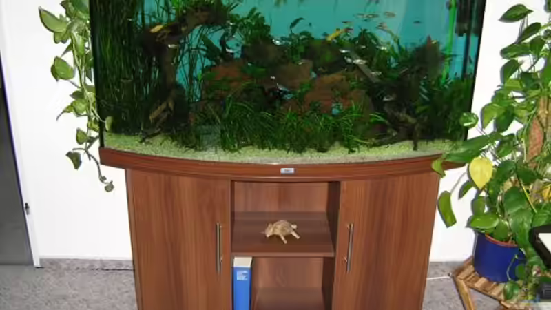 Gesamte Becken von Marcus Bendzulla (5)