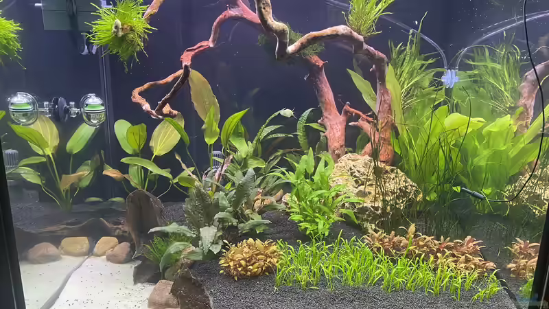 Gesamteindruck  von Ottche (1)