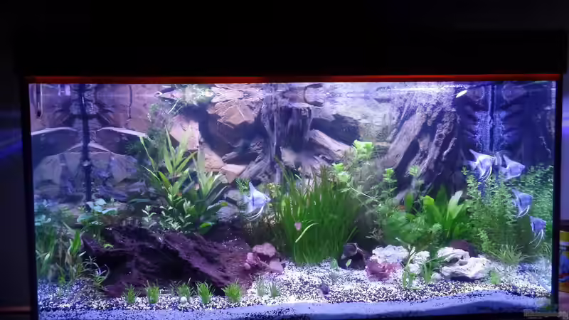 Gesamteindruck 14.05.2014 von raubsau (16)