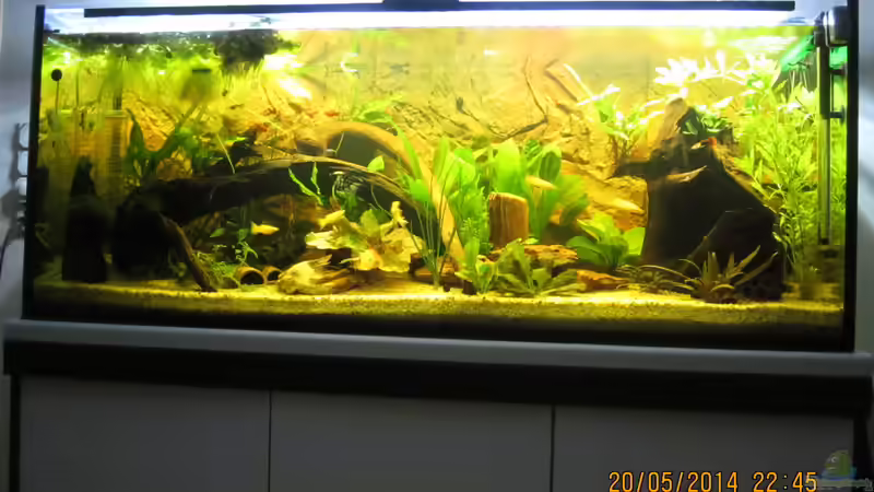 Gesamteindruck von Ottche (52)