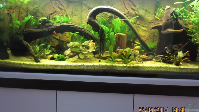 Gesamteindruck von Ottche (55)