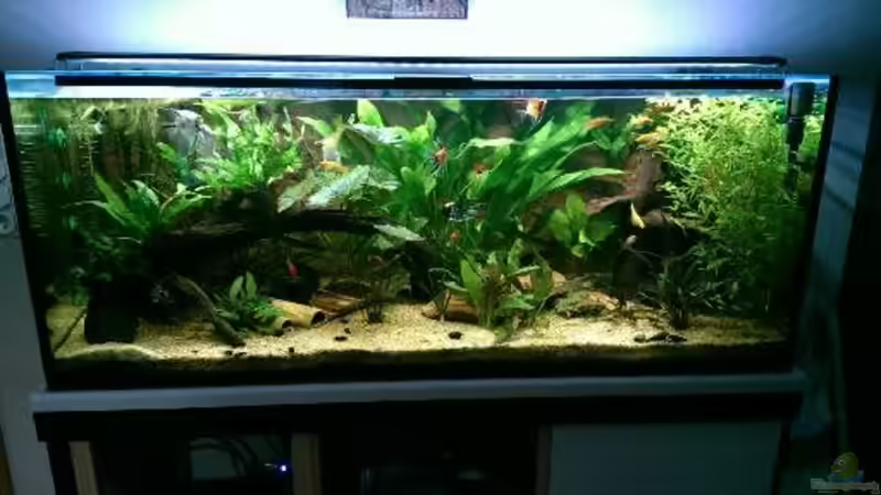 Gesamteindruck von Ottche (68)