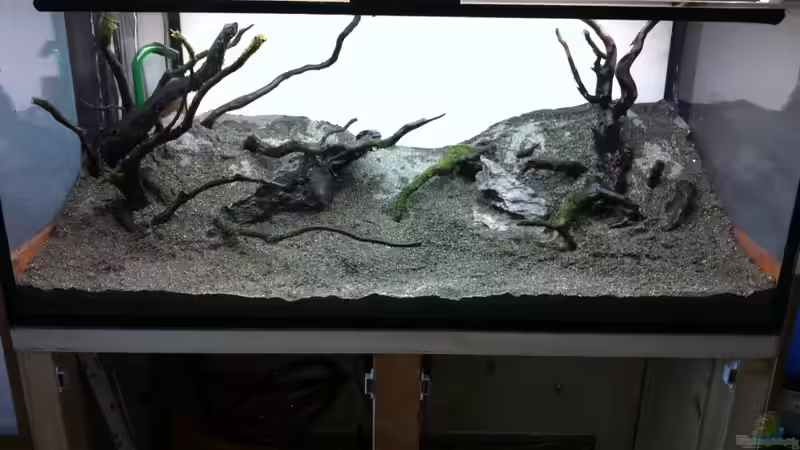 Gesamtes Hardscape von OrangeBuschfisch (7)