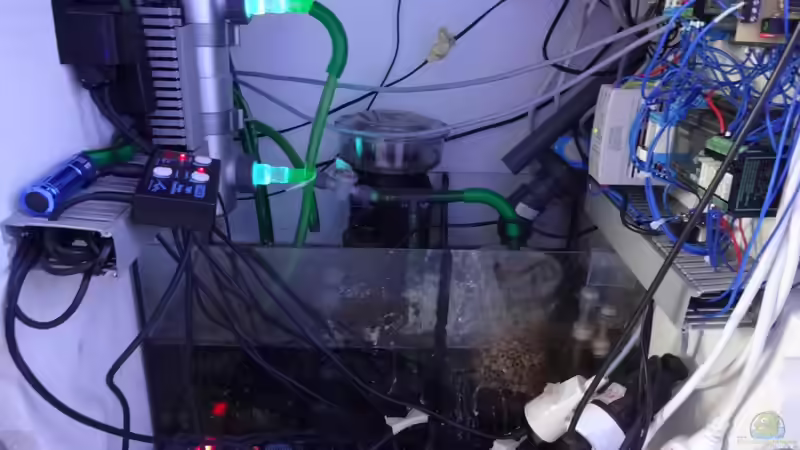 Gesamtes Technikbecken von Seewasserpanscher (21)