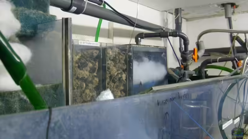 Gesamtfilteranlage von Andreas L (26)