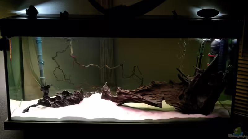 Gesamtlayout ohne Pflanzen. Nach langem Probieren hab ich mich hierfür entschieden von diskuseum (5)