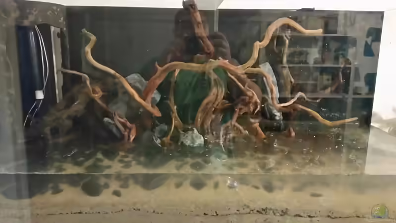 geschafft ... Fertiges Hardscape ... 11.06.15  01:30h  von Betta Chris (99)