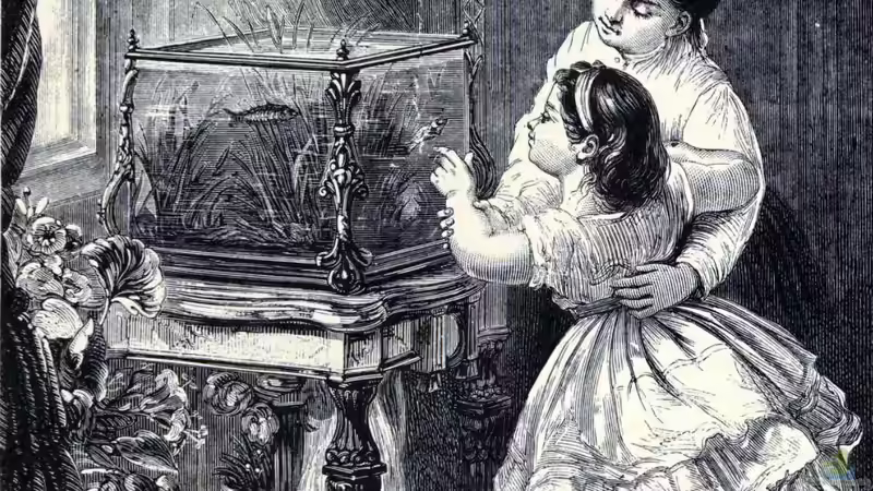 Geschichte der Aquaristik