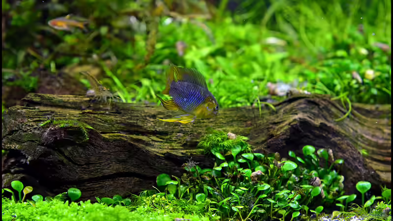 Geselliges Miteinander von Tuduhi (5)