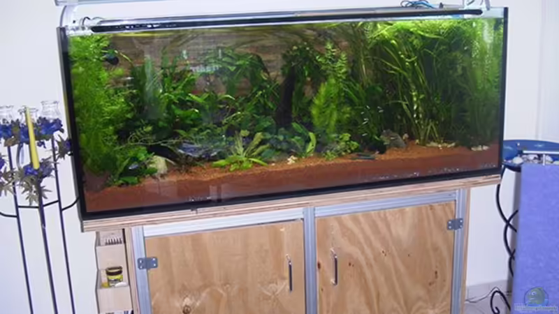 Gesellschafts-Süd-Amerika-Becken von Werner Müller (1)