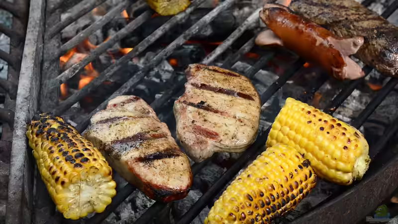 Gesetzliche Regelungen: Das ist an Sonn- und Feiertagen im Garten verboten